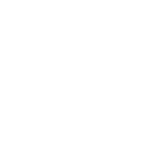 Bash